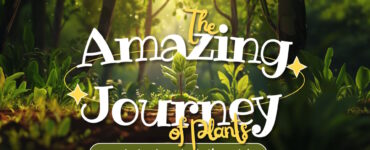 The Amazing Journey of Plants! Exploring the Plant Life Cycle