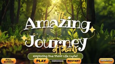 The Amazing Journey of Plants! Exploring the Plant Life Cycle