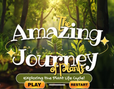 The Amazing Journey of Plants! Exploring the Plant Life Cycle