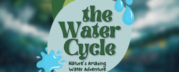 The Water Cycle Nature's Amazing Water Adventure