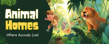 Animal Homes - Exploring Where Animals Live