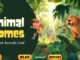 Animal Homes - Exploring Where Animals Live