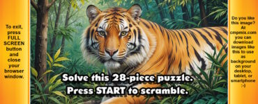 Cmpmix Puzzle 001 – Solve a 28 piece puzzle – Free Browser Game