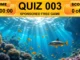 vicamix_quiz003