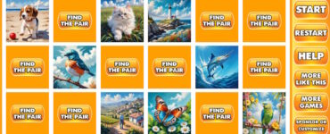 vicamix_find_the_pairs_002b