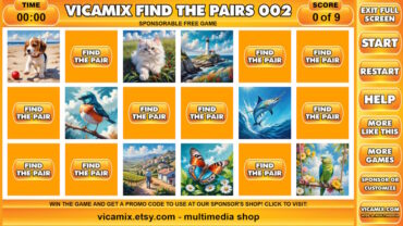 vicamix_find_the_pairs_002b
