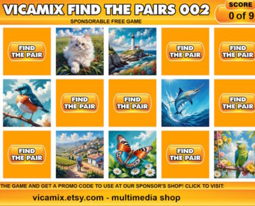 vicamix_find_the_pairs_002b