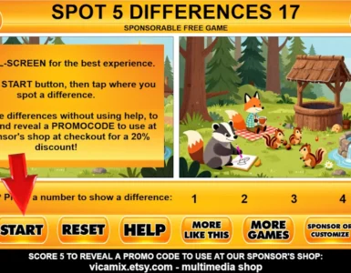 Vicamix Spot 5 Differences 17
