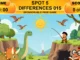 vicamix_spot5differences015