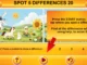 Spot 5 Differences 19 – Free Browser Game