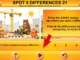 Vicamix Spot 5 Differences 21
