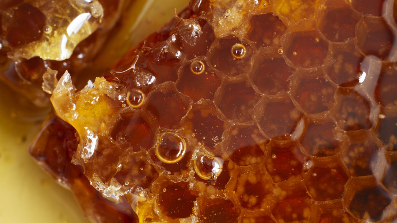 Raw honey health benefits