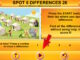 vicamix-spot-5-differences-26