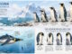 Penguins: Masters of Life in the Cold