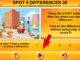 Spot 5 Differences 28 – Free Browser Game