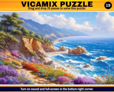 vicamix-puzzle-19