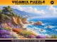 vicamix-puzzle-19
