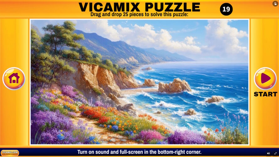 vicamix-puzzle-19