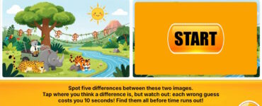 vicamix-spot-5-differences-29